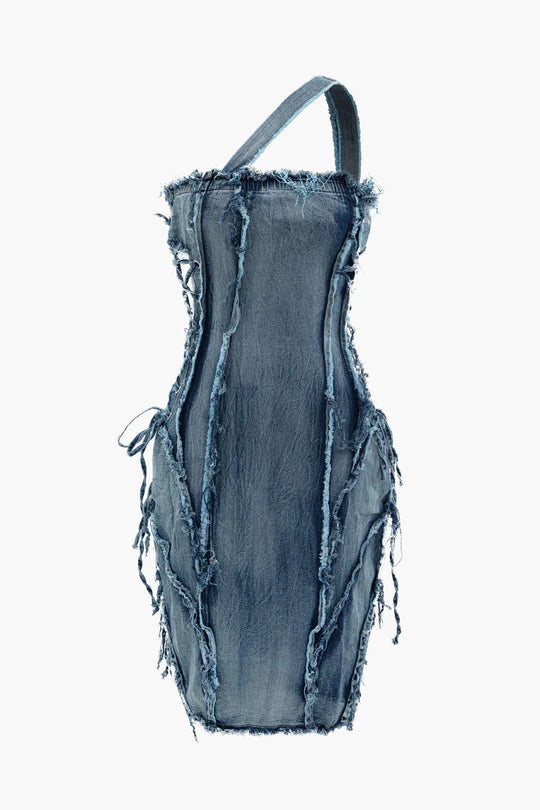 Distress Denim Dress